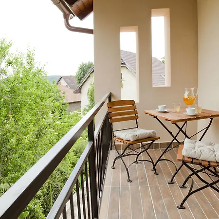 Barackvirag Apartmanhaz شقة تيهاني