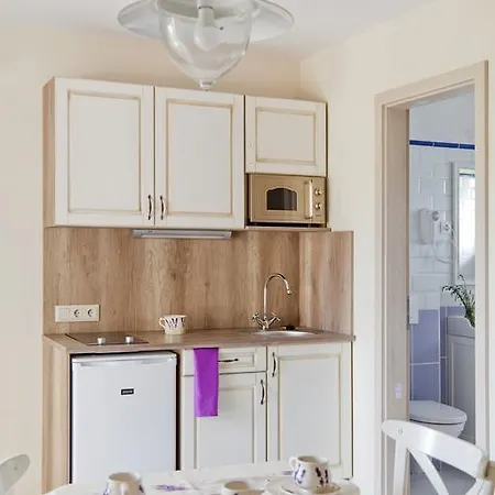דירה Barackvirag Apartmanhaz טיהאני